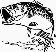 AREA FISHING REPORT
