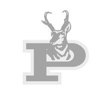 Bold Gold powerlifters to compete at the Frenship Tiger Invitational