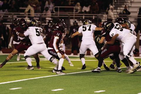 SPOTLIGHT ON BOLD GOLD DISTRICT CHAMPS