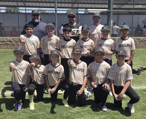 Little Leaguers conclude All-Star Tournaments