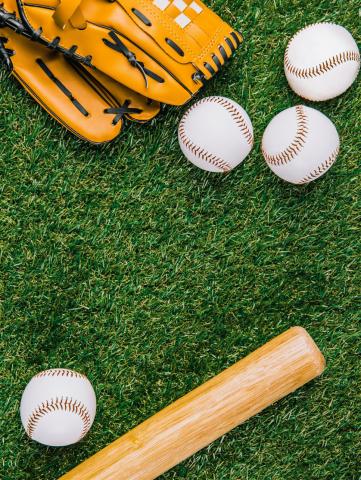 Bold Gold begins 2026 baseball season