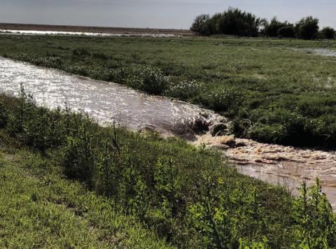 Rain and flash floods impact the area