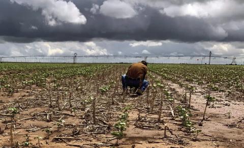 Cotton/water stewardship Playa Day to be held May 16 at Unity Center in Muncy