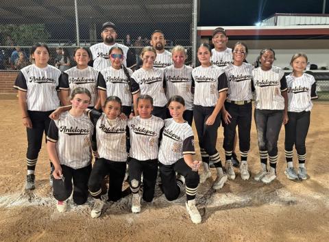 Post 11/12 Little Leage Softball All-Stars fall short in Sectionals Championship
