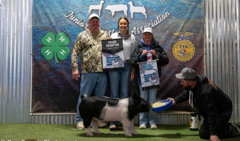 GRAND CHAMPION SWINE REESE HUFFAKER