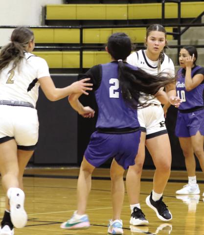 Lady Lopes fall to Winters 52-45