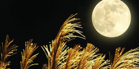 Harvest Moon