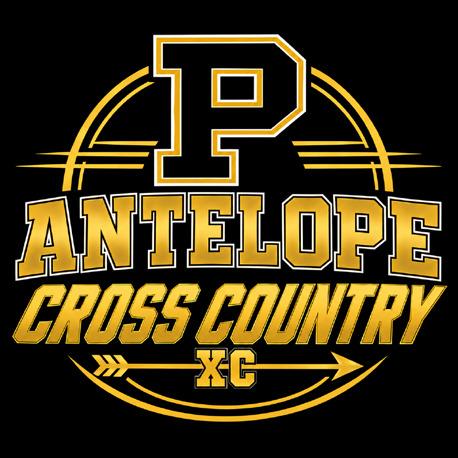 Bold Gold, Lady Lopes cross country teams compete in Plain