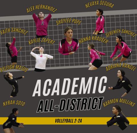 Volleyball honors