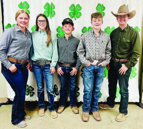 HORSE JUDGING 4-H