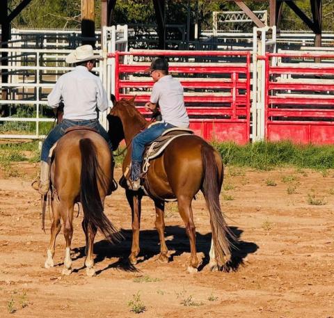 RANCH HORSE CLINIC Garza County 4-H held a Ranch Horse Clinic Sept. 21 at the Post Stampede Rodeo grounds. Clinician was Kolton Wink. In attendance were Kennedy Beck, Grady Dorsett, Kye Baker and Bella Hayek. The members worked on ranch horse skills such as rollbacks, spins, lead changes and more. | WHITNEY DORSETT PHOTOS