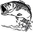 Area Fishing Report