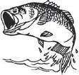 Area Fishing Report