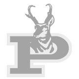 Bold Gold and Lady Lope basketball Thanksgiving recap