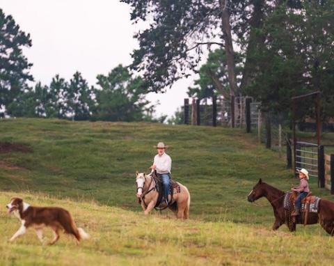 Registration is open for the Generation Next: Our Turn to Ranch, a 12-week online course offered by the Texas A&amp;M AgriLife Extension Service on Jan. 26-April 19. The course provides instruction on starting a new agriculture business or enterprise as well as land management. | HANNAH HARRISON/ TEXAS A&amp;M AGRILIFE