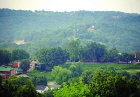 Stone Hill Winery, Missouri by Picasa 2.0 Photo Provided by Gus Clemens