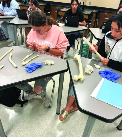 PHS Anatomy & Physiology Class