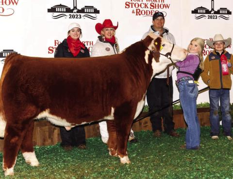 Macy Gilliland took 2nd Place Heavyweight Polled Hereford at the Fort Worth Stock Show &amp; Rodeo! Macy is a member of Post FFA. Congratulations!