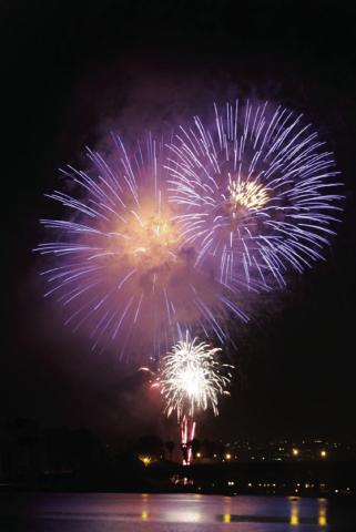 FIREWORKS AND FUN