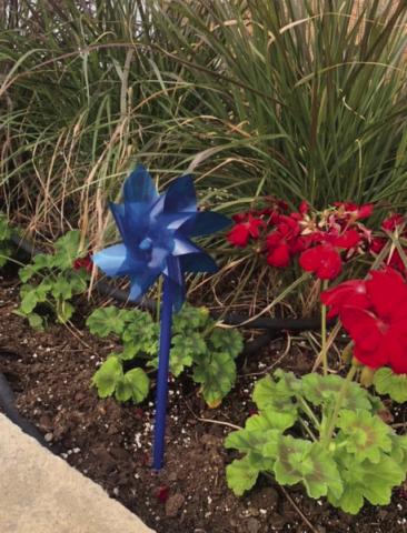 BLUE PINWHEELS