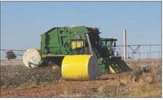 COTTON CROP across the Panhandle, South Plains and Rolling Plains is improved somewhat over past two years. Shown is harvest in progress last week at Rhineland, on the Rolling Plains in Knox County. | THE POST DISPATCH