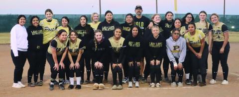 Bold Gold begin baseball season
