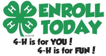 4-H is for you!