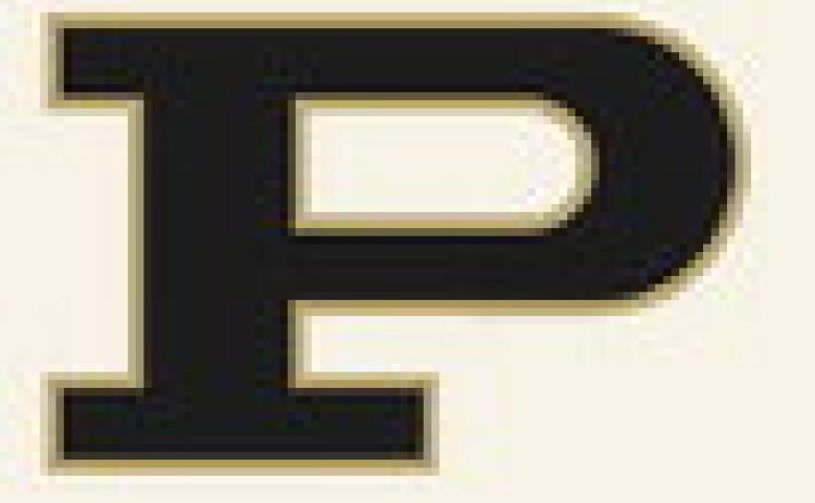 Bold Gold, Lady Lopes