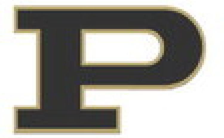 Bold Gold impresses at Andrews Classic