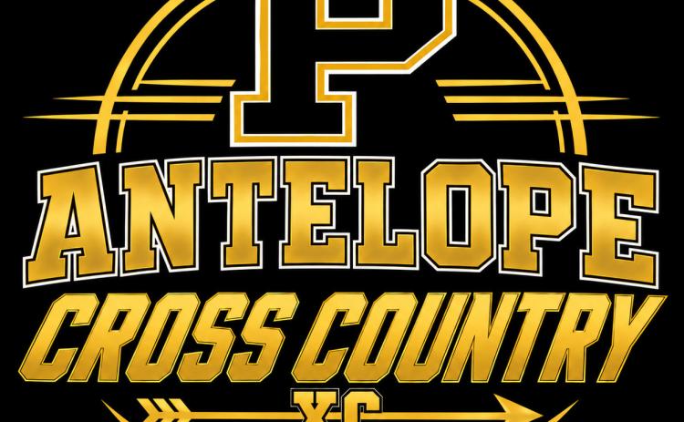 Bold Gold and Lady Lope cross country to compete at Hamlin