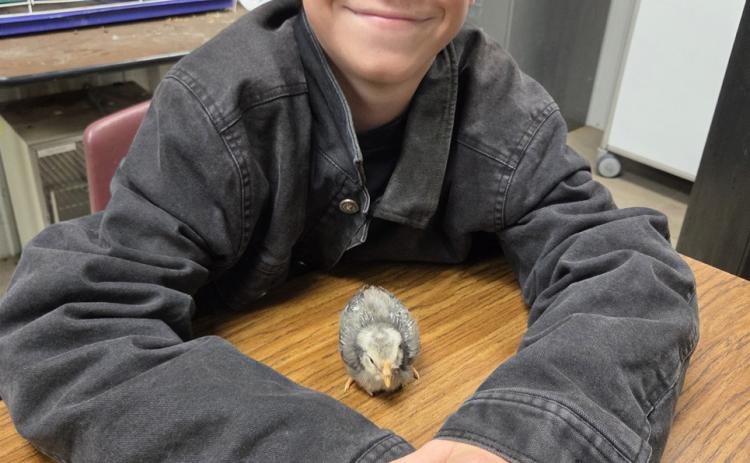 CHICK IT OUT! Southland students recently took part on a science project to monitor the hatching of chicken eggs—with chicks arriving just in time for Easter. MORE PHOTOS, PAGE 8