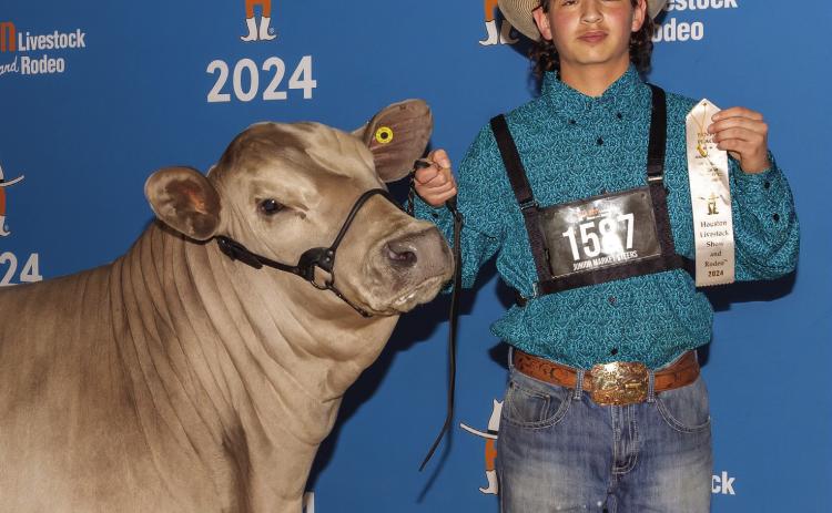 RESULTS Cameron Menchaca, a student of Post High School, placed at the 2024 Houston Livestock Show. His project was able to be entered into the Houston show by the funding from the 2024 county show sale proceeds. | AUGIE MENCHACA PHOTO