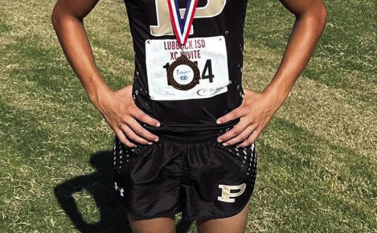 BOLD GOLD CROSS COUNTRY