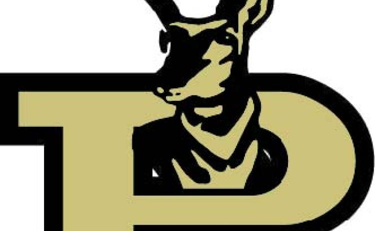Bold Gold to take on New Deal in district opener