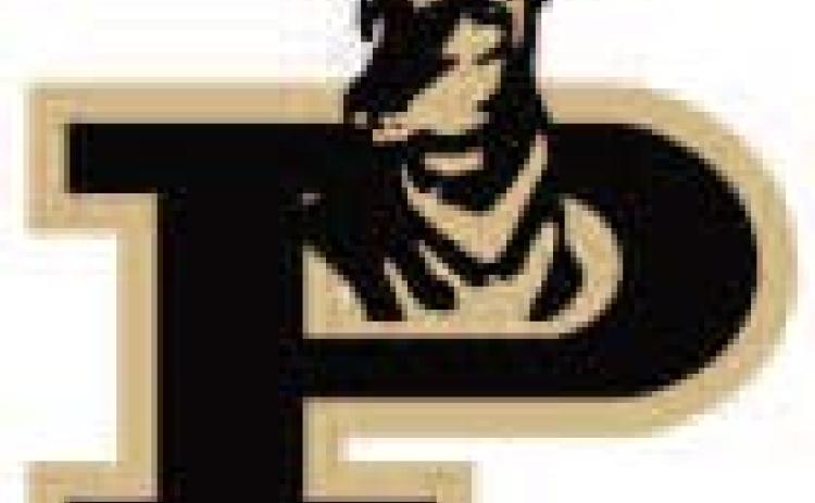 Bold Gold and Lady Lopes impress at area track