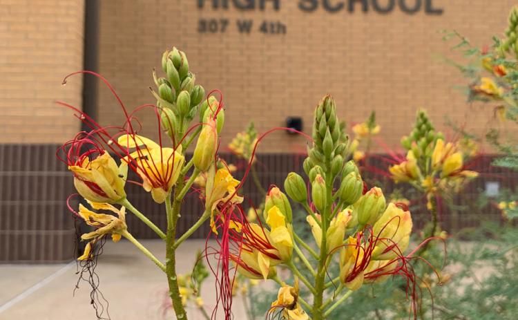 Post ISD board sets tax rate at $1.1583