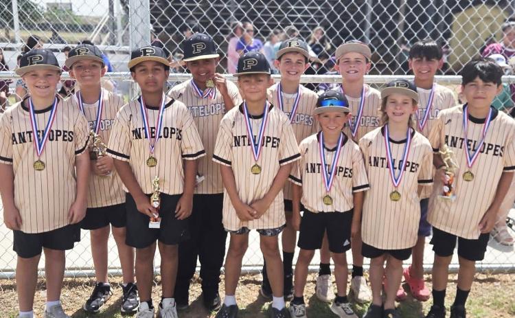 Post Little League announces 2026 All-Star teams