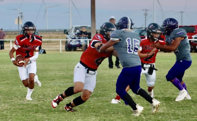EAGLES SOAR The Southland Eagles earned their first victory of the 2026 season with a dominant 48-0 homecoming win over the Lorenzo Hornets Thursday, Sept 17. | JENNIFER HOGAN