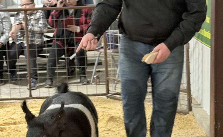 Southland Livestock Show highlights youth achievement and hard work