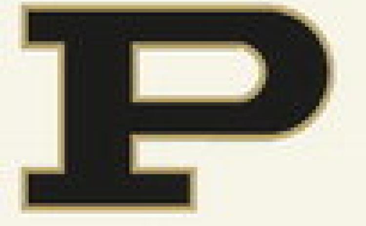 Bold Gold earns third place