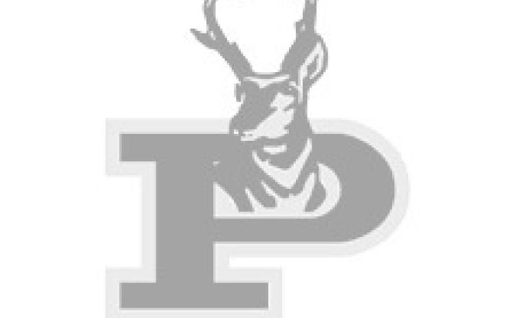 Bold Gold powerlifters to compete at the Frenship Tiger Invitational