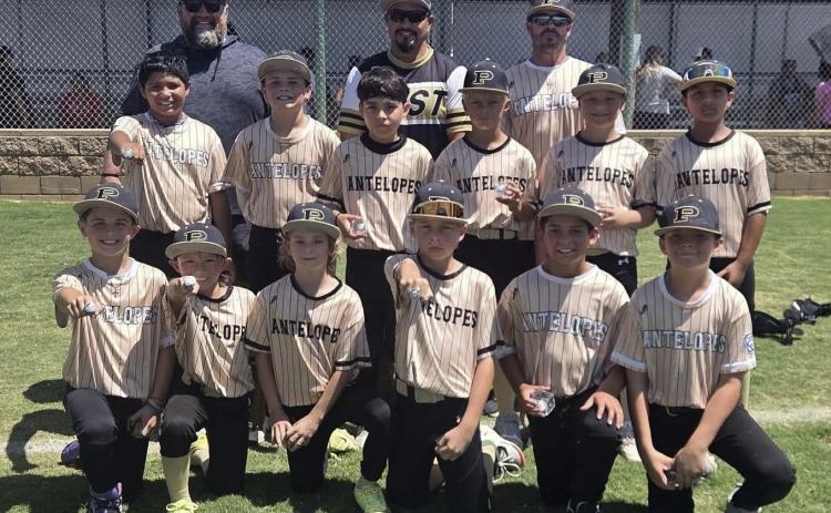 Little Leaguers conclude All-Star Tournaments