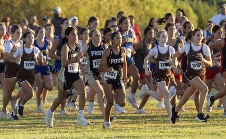 CROSS COUNTRY COMPETITION Post Lady Lopes runners competed at the Hamlin Invitational, where the Bold Gold and Lady Lopes varsity and JV cross country teams faced competitors from Class 3A Division I through Class 1A Division II. | SOFIA MORENO