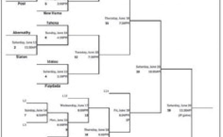Little League All-Star Teams begin