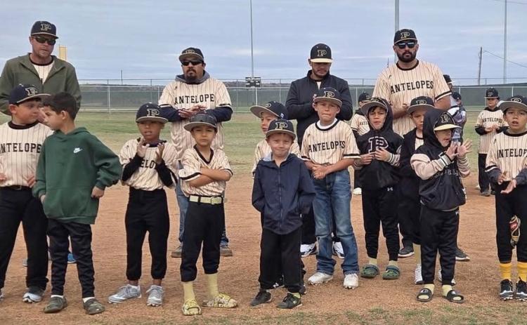 Post Little League opens season with celebration, community spirit