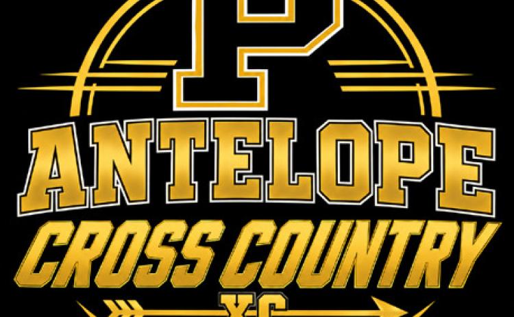 Bold Gold, Lady Lopes cross country teams compete in Plain