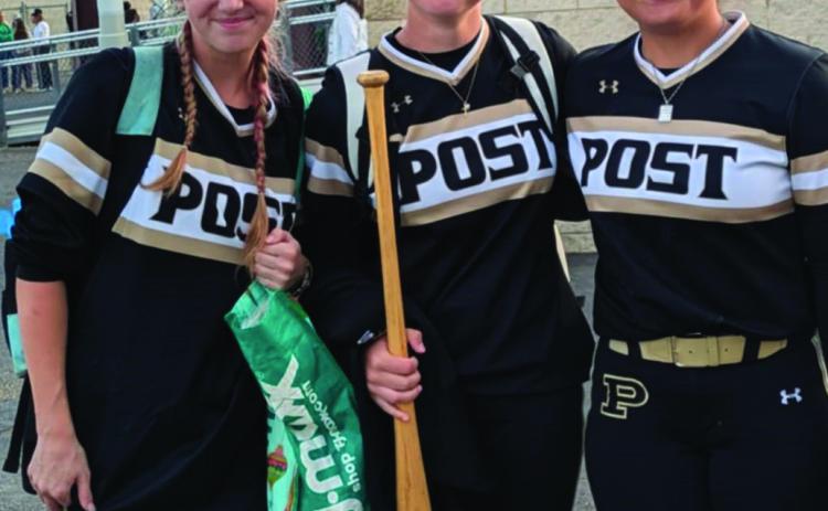 Post softball season comes to a close  with Area playoff loss to Floydada