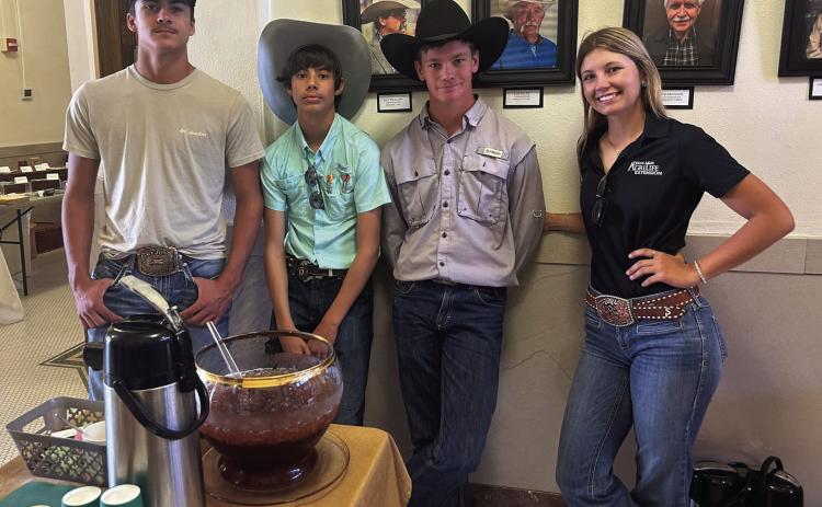 4-H celebrates courthouse centennial
