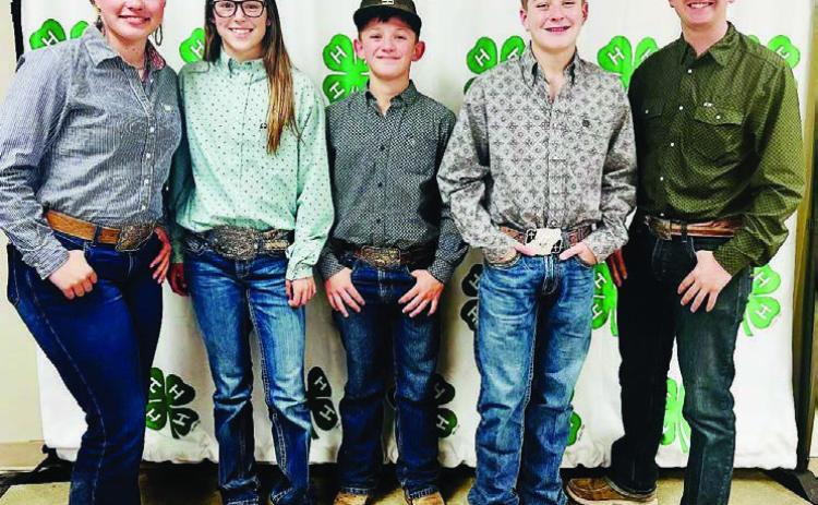 HORSE JUDGING 4-H