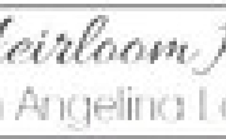 Alt Text for Image